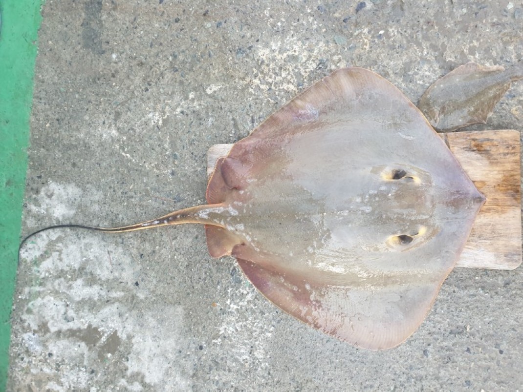 c9b1bcc904ff9d3e0c961d1b2790d7ba_1562572