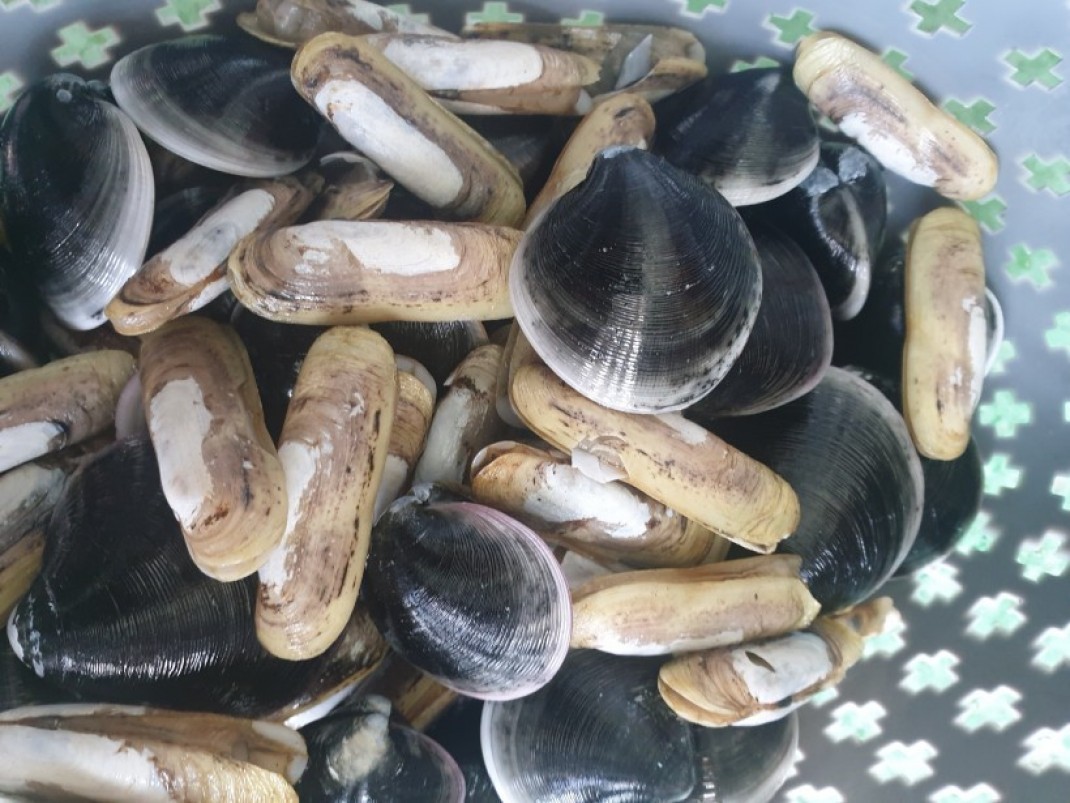 64b33f18dd344b9b89d1d85551c247d5_1597838