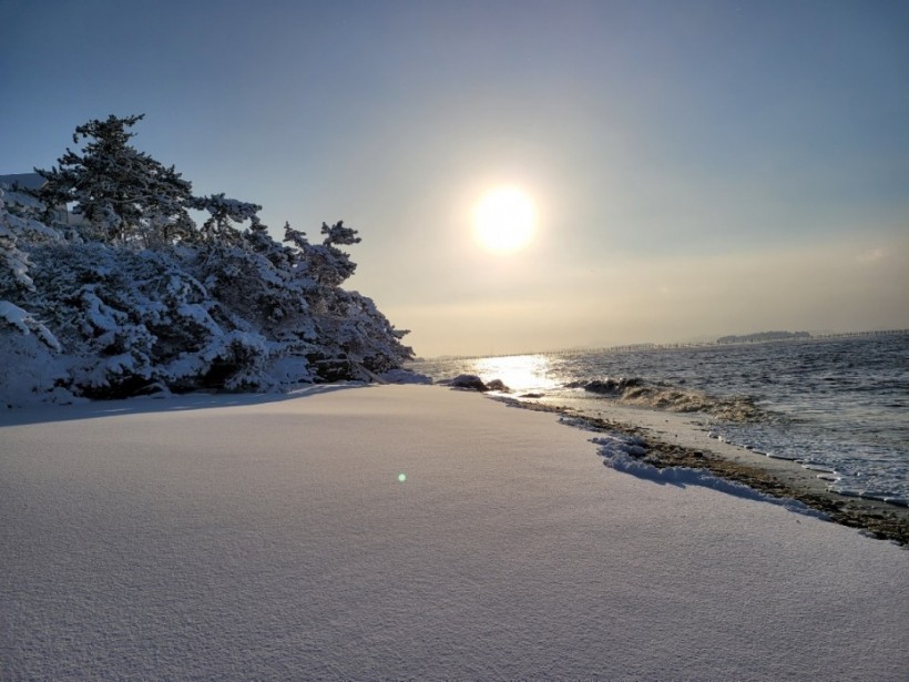 a2a0dc5cecc3020b9cdd271989060e29_1611140