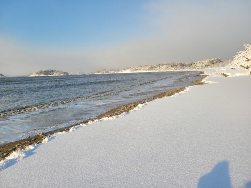 a2a0dc5cecc3020b9cdd271989060e29_1611140