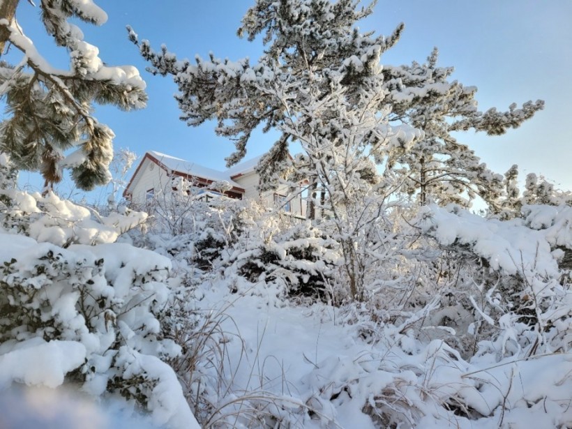 a2a0dc5cecc3020b9cdd271989060e29_1611140